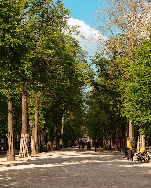 A wide tree-lined pathway in a park, with tall green trees on both sides, their branches forming a canopy overhead. The ground is covered with light-colored gravel, and several people are walking along the path, some pushing strollers or carrying bags. A few individuals are engaged in a home relocation process, visible loading or unloading large cardboard boxes, wrapped furniture, and household items onto a van parked at the side of the pathway. The scene is illuminated by natural daylight, with shadows cast by the trees. The surroundings suggest an outdoor setting suitable for a house move or a moving company service operating in a residential or park area, consistent with the services offered by Man with Van Holland Park.