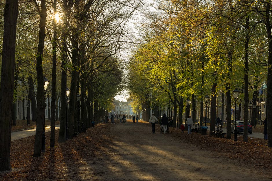 A woman in a blue top and shorts is seated on a white park bench, reading or relaxing in an outdoor setting with lush green trees and bushes. Nearby, a young girl in a white shirt and dark shorts stands on a paved pathway, and a man in a white shirt and jeans is walking in the background. The scene is illuminated by natural daylight, with large trees providing shade and a lamppost visible among the foliage. The environment appears peaceful and well-maintained, reminiscent of a residential area suitable for home relocation or moving activities with available outdoor space for packing or staging of furniture and boxes, which are not visible in the image. The background shows partly visible buildings behind a black fence, indicating a suburban or urban park-like area. This setting aligns with the services of a professional removals company like Man with Van Holland Park involved in furniture transport and packing during house moves.