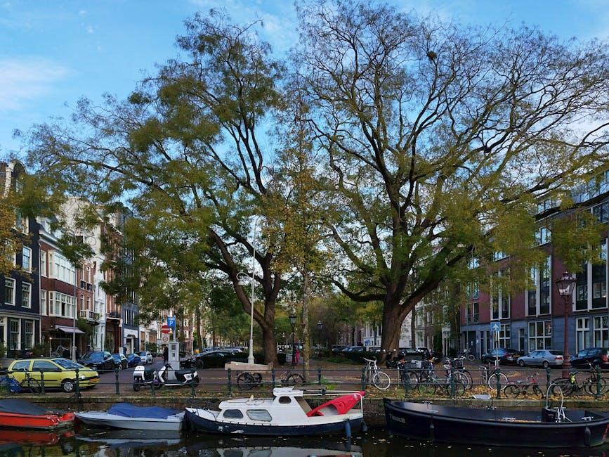 A wide view of a canal area in Holland Park during daytime, showing several small boats moored along the canal bank, including a white motorboat with a red cover, a dark blue boat, and a red boat, all secured with ropes. Behind the canal, there are multi-storey residential buildings with large windows and a variety of colours, such as dark blue, red, and white. In the foreground, there are two large deciduous trees with broad branches extending across the sky, some of which are leafless while others have sparse green leaves, indicating a possible autumn or early winter setting. The pavement along the canal has bicycles parked against bike racks, and a few cars are parked on the street adjacent to the buildings. A man is seen loading a cardboard box into a van, potentially part of a home relocation or moving process, with a 'Man with Van Holland Park' moving van partially visible outside a property. The scene is lit by natural daylight with clear weather, providing a calm and organised environment suitable for furniture transport or packing and moving tasks.