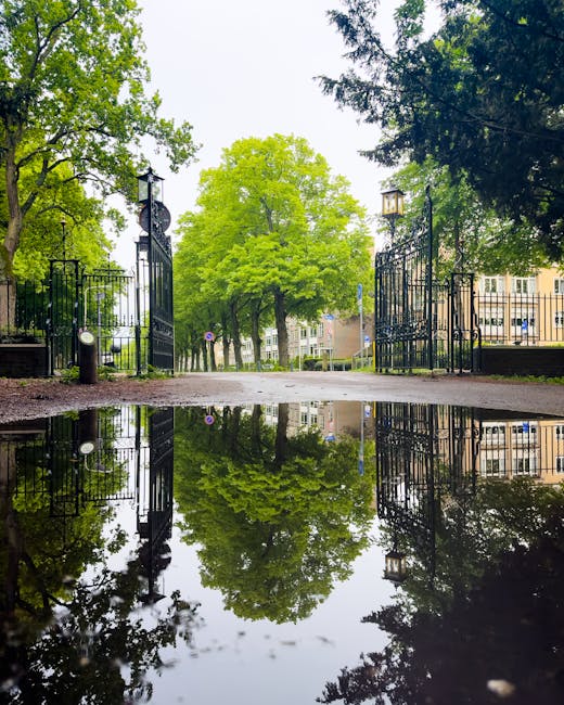 A view of an open wrought iron gate leading into a park area with tall, leafy green trees and a pathway beyond. The ground in the foreground is wet, creating a large puddle that reflects the trees, gate, and parts of the surrounding environment, including nearby buildings in the distance. The scene is well-lit with natural daylight, and there are benches and lampposts visible along the pathway. This setting illustrates the outdoor environment for a house relocation process, where furniture and boxes from Man with Van Holland Park might be moved through the gate into or out of the park area for home relocation or furniture transport purposes.