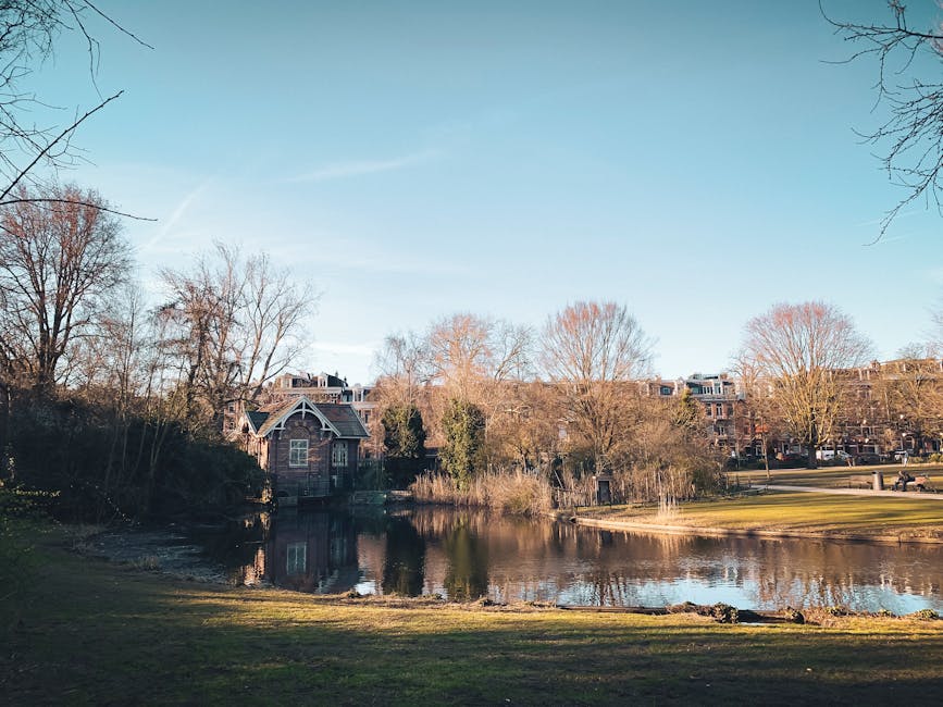 A view of a residential area during daylight with a body of water in the foreground reflecting the surrounding trees and buildings. Several leafless and partly leafed trees are visible along the water and on the far side of the pond, with some small shrubs near the water's edge. In the background, there are multiple multi-storey brick houses and apartment buildings with pitched roofs, set behind a grassy area. The sky is clear with minimal cloud cover, and the overall scene suggests a calm, suburban environment. The image aligns with house removals and home relocation services, illustrating an exterior landscape that may be part of a moving route or outdoor staging area, as seen in the context of a professional service provider like Man with Van Holland Park.