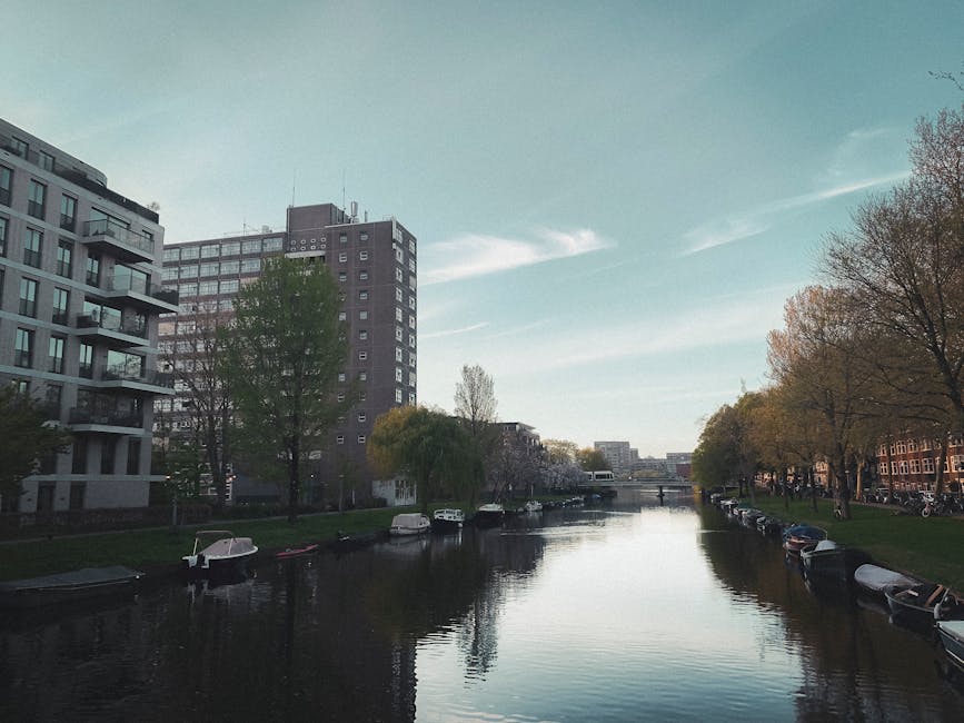 A panoramic view of a narrow residential waterway in Holland Park during daylight, featuring modern multi-storey apartment buildings on the left with large windows and balconies, alongside lush trees with some displaying early signs of spring foliage. Several small boats are moored along the edge of the calm canal, with some partially covered by protective tarps. On the right side, a row of parked cars lines a grassy verge beneath trees with green and brown foliage, indicating a transition between seasons. The sky above is mostly clear with some wispy clouds, casting soft natural light over the scene. In the distance, a bridge spans the waterway, and further buildings can be seen on the horizon. This setting depicts a tranquil urban environment, suitable for home relocation and furniture transport activities, with visible elements indicative of moving logistics such as parked vehicles and the quiet street environment, occasionally associated with professional removals like those provided by Man with Van Holland Park.
