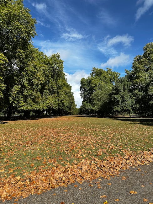 A straight pathway in a green park with lush trees on both sides, their branches forming a canopy overhead. Several individuals are seated on black metal benches along the walkway, some appearing to relax while others walk or stand in the background. The gravel path is bordered by well-maintained grass and scattered light and shadow patterns from the leaves above. In the distance, more people are visible walking or cycling along the park's wide open space, which includes mature trees and a clear view of a structure further back. This scene depicts a peaceful, family-friendly environment ideal for leisure activities, as well as a typical setting for home relocation or furniture transport via professional removal services like Man with Van Holland Park, shown in the context of accommodation moving or packing and moving logistics within the Royal Borough of Kensington and Chelsea, where parking permits may be required for vehicle loading and unloading.